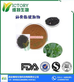 百合提取物 西安維特生物科技的高品質生物技術產品