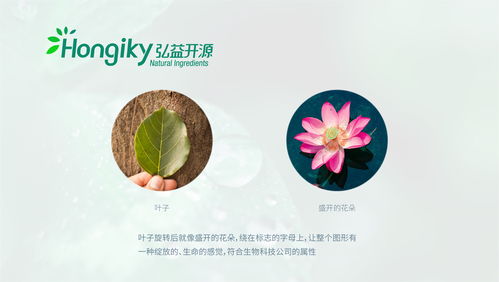 生物科技公司logo設計定稿提案